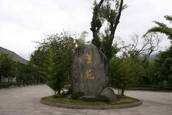 Dali-33
