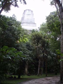 Tikal-6