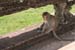 Angkor-Wat-79