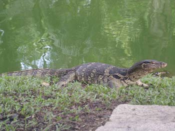 Bangkok-57