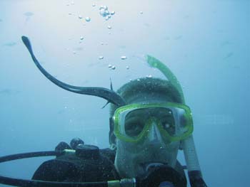 Crystal-Dive-41