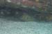 Crystal-Dive-51