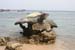 Koh-Tao-6
