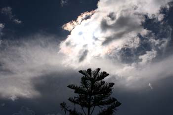 Dalat-103